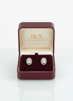 BHU-LAXMI Aurora Oval Halo Silver Earring - Image 4